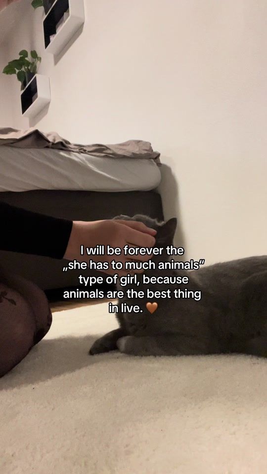 TikTok video thumbnail by lxena.seidl