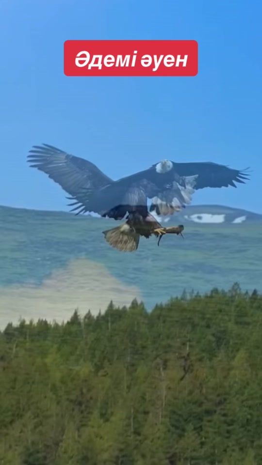 TikTok video thumbnail by alma42166