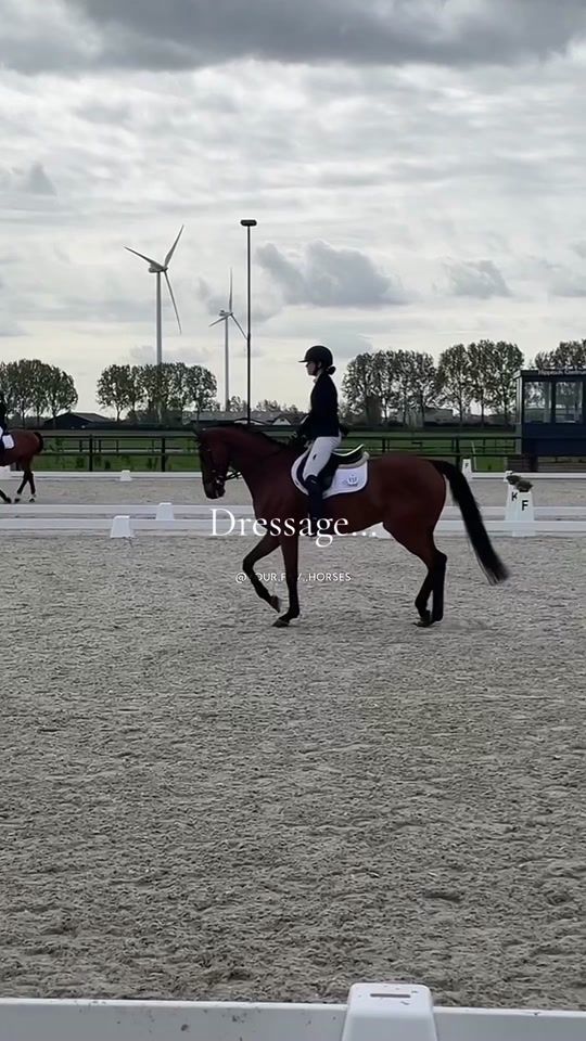 TikTok video thumbnail by indivask