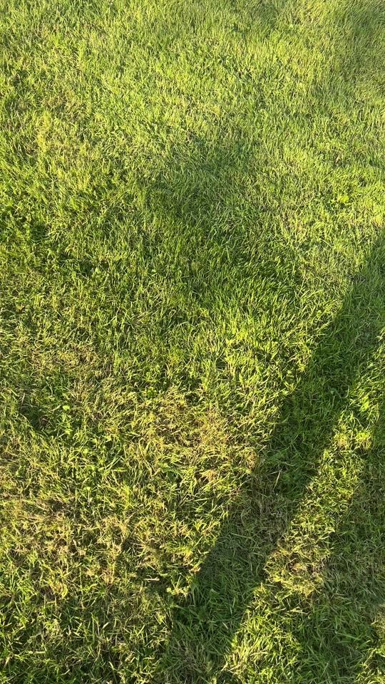 TikTok video thumbnail by ruairi210