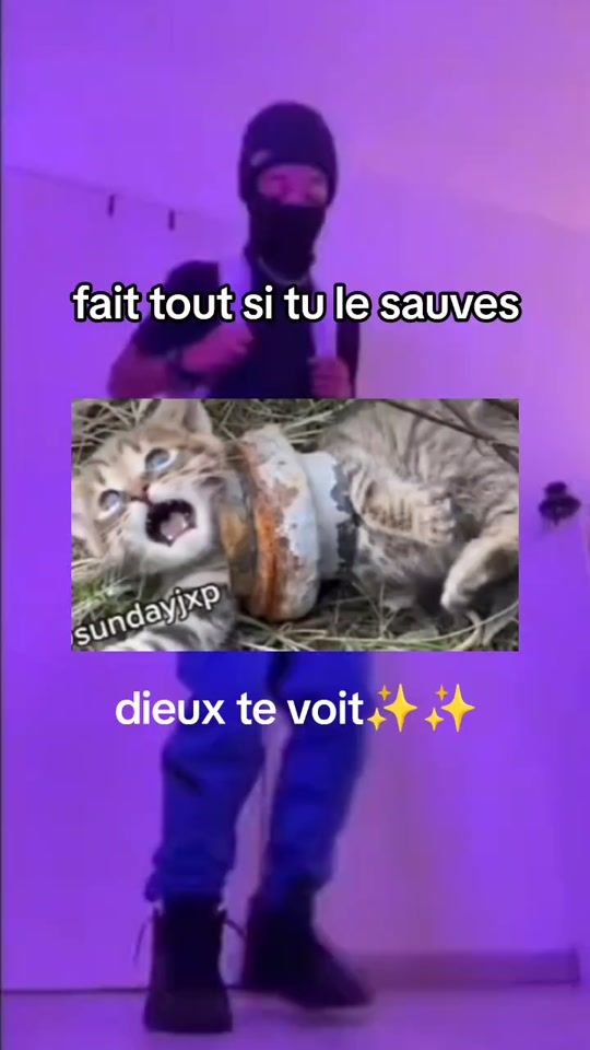 TikTok video thumbnail by liam_goule669