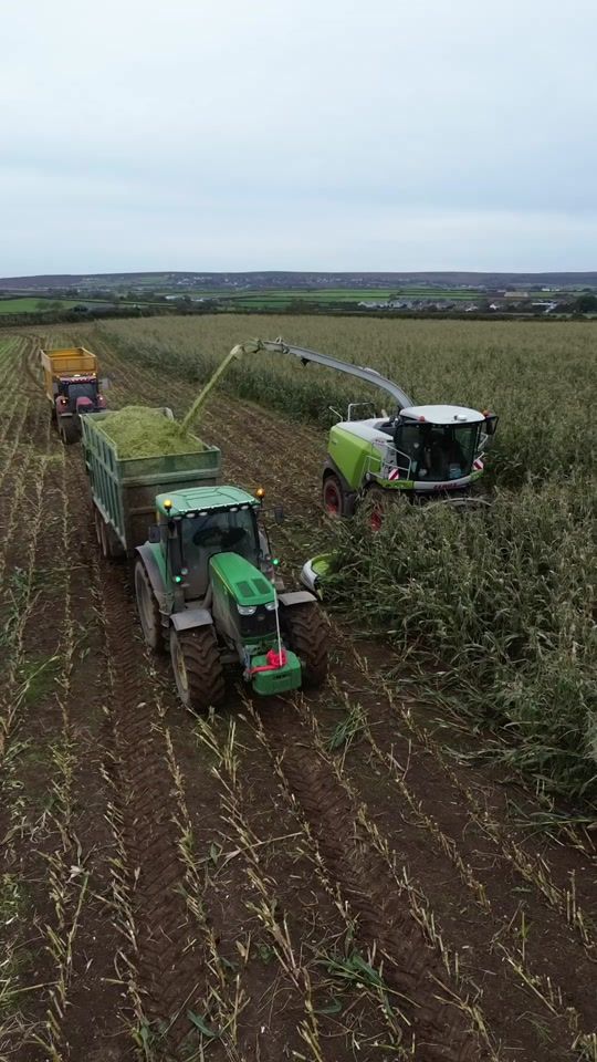 TikTok video thumbnail by welly_362