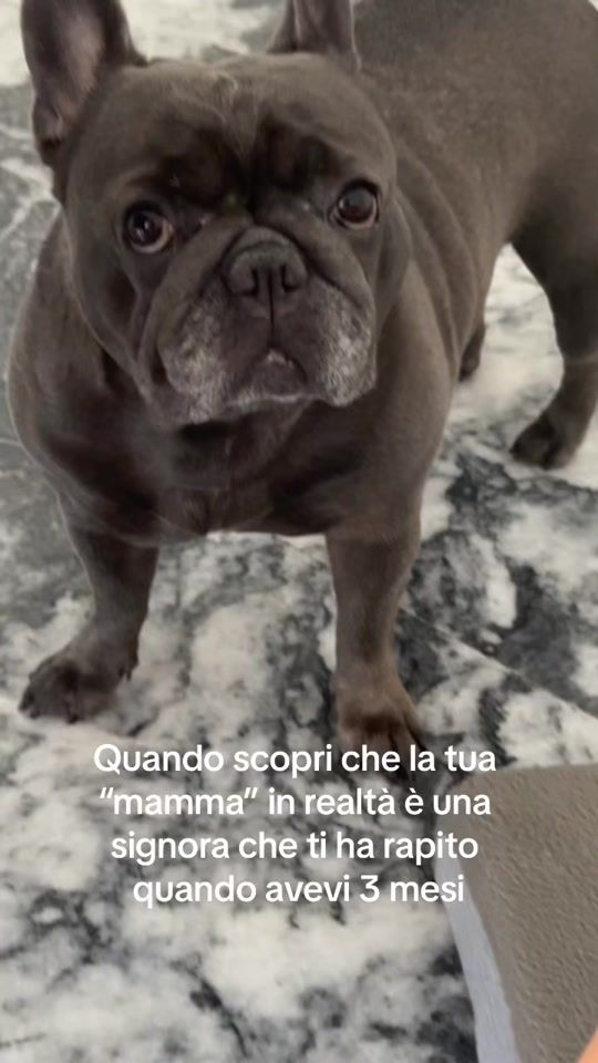 TikTok video thumbnail by vittoriacorcione