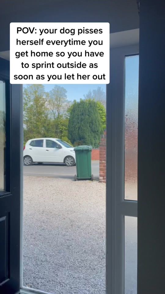 TikTok video thumbnail by georgiashayes