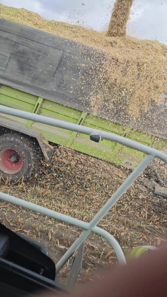 TikTok video thumbnail by stephan1050