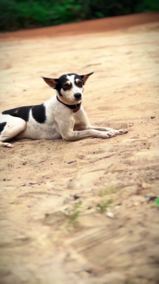 TikTok video thumbnail by franckfleur