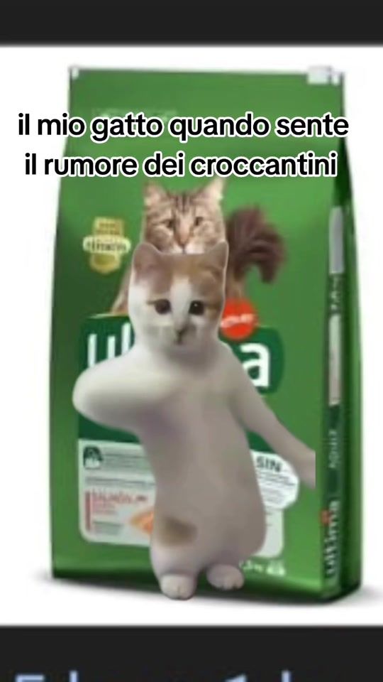 TikTok video thumbnail by cesca2413