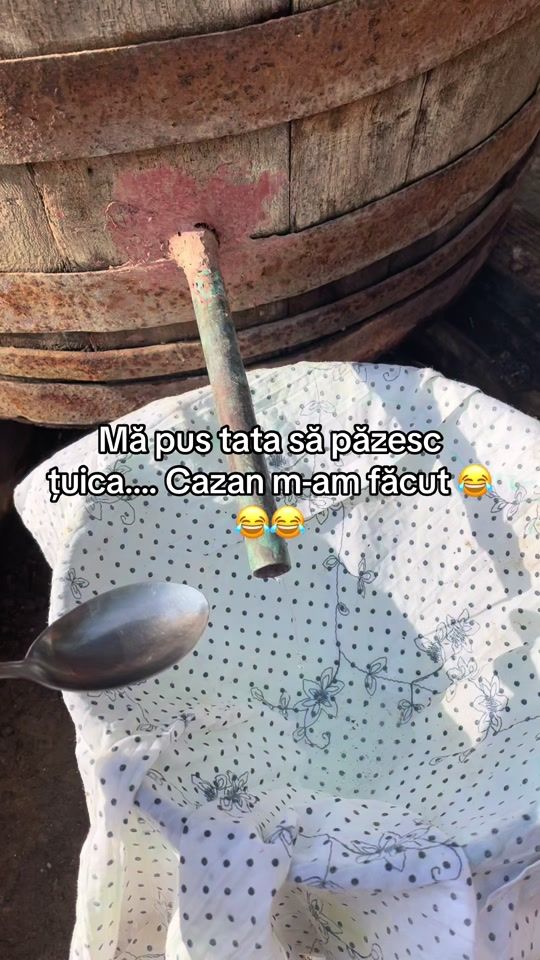 TikTok video thumbnail by gavaflorina