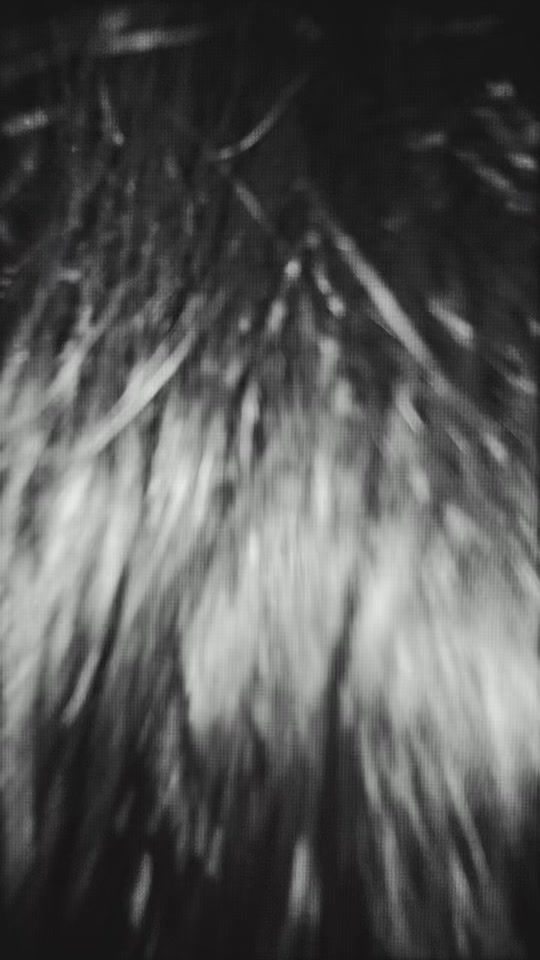 TikTok video thumbnail by monalyssa_queen18