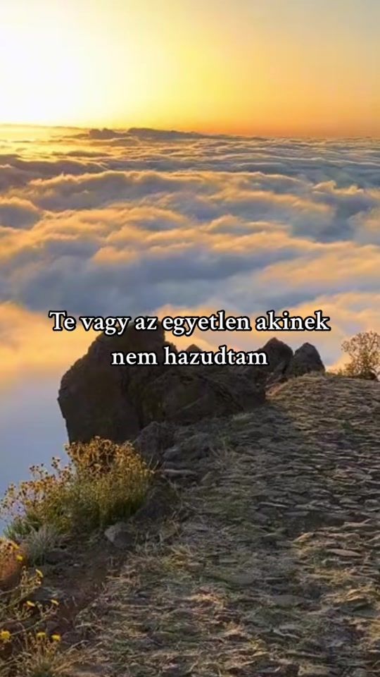 TikTok video thumbnail by idzetneked