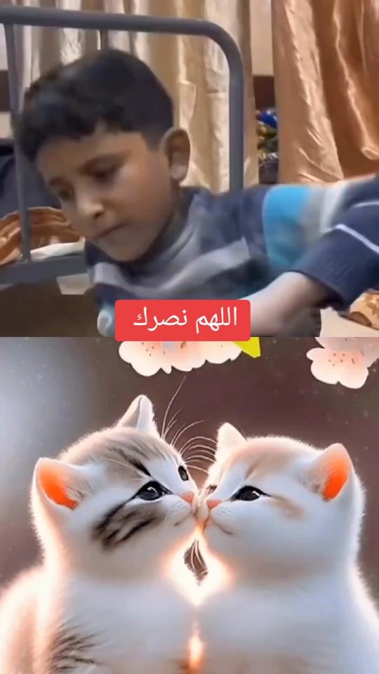 TikTok video thumbnail by user34162374