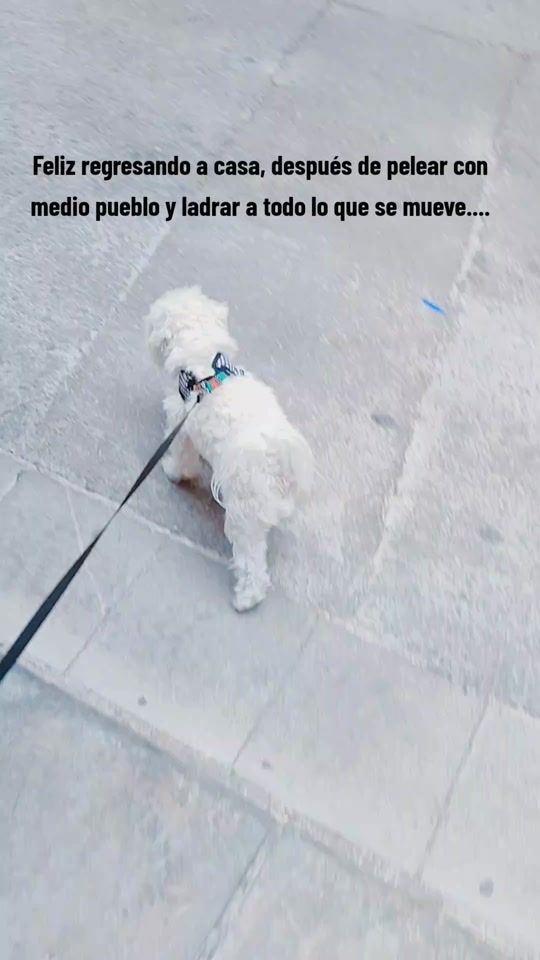 TikTok video thumbnail by princeso_lolo