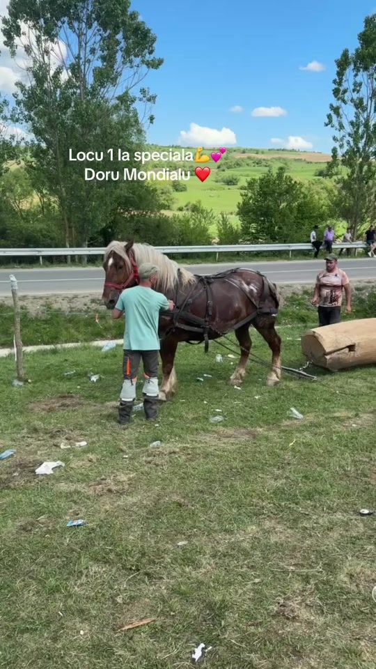 TikTok video thumbnail by daviddima15