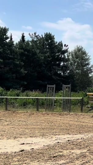 TikTok video thumbnail by ms._equestrian_