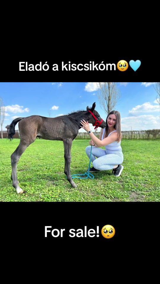 TikTok video thumbnail by noncsii.12