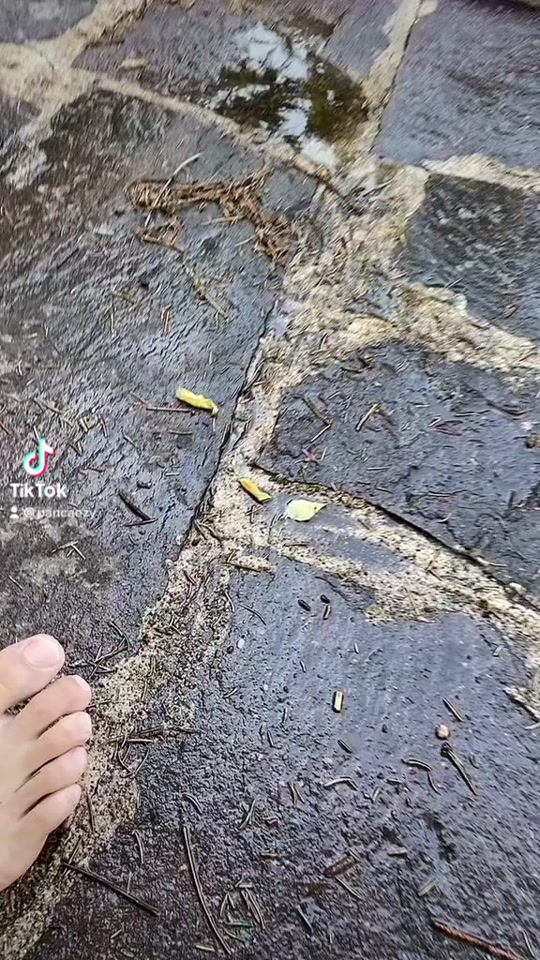 TikTok video thumbnail by pancaezy