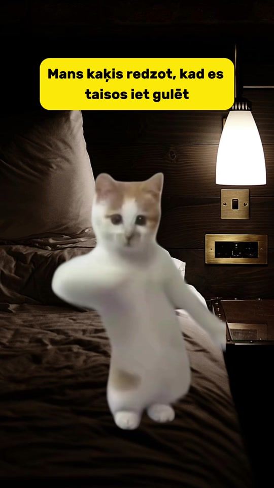 TikTok video thumbnail by aaljisaab