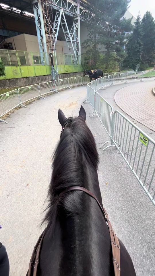 TikTok video thumbnail by pehubacko