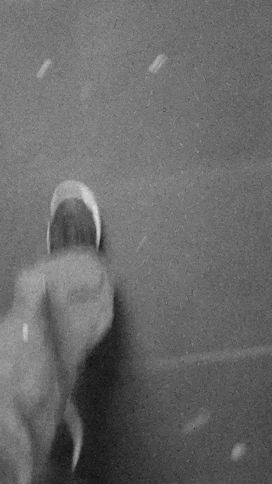 TikTok video thumbnail by dark_engel16