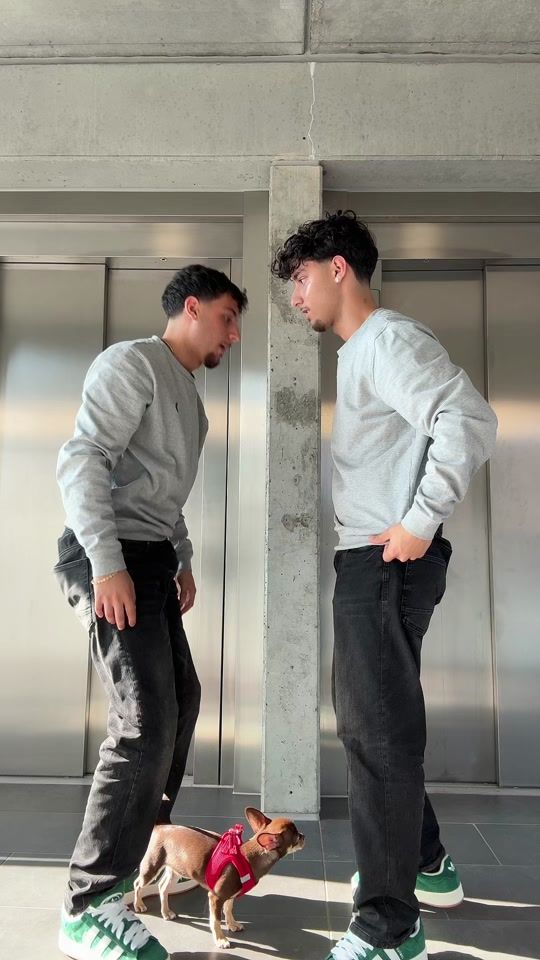 TikTok video thumbnail by typischzwillingeee