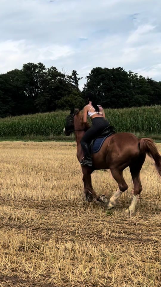 TikTok video thumbnail by dream.d.b