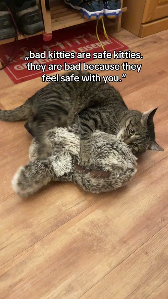 TikTok video thumbnail by caroundwilly