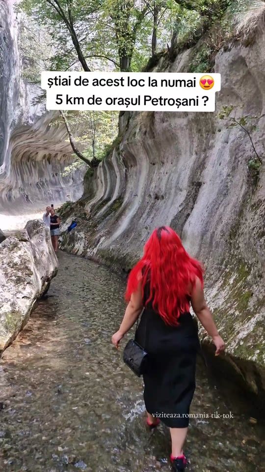 TikTok video thumbnail by viziteaza.romania