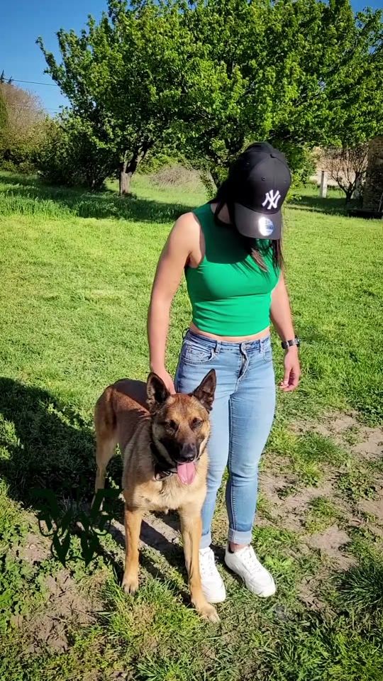 TikTok video thumbnail by mrs.werwolf.k9