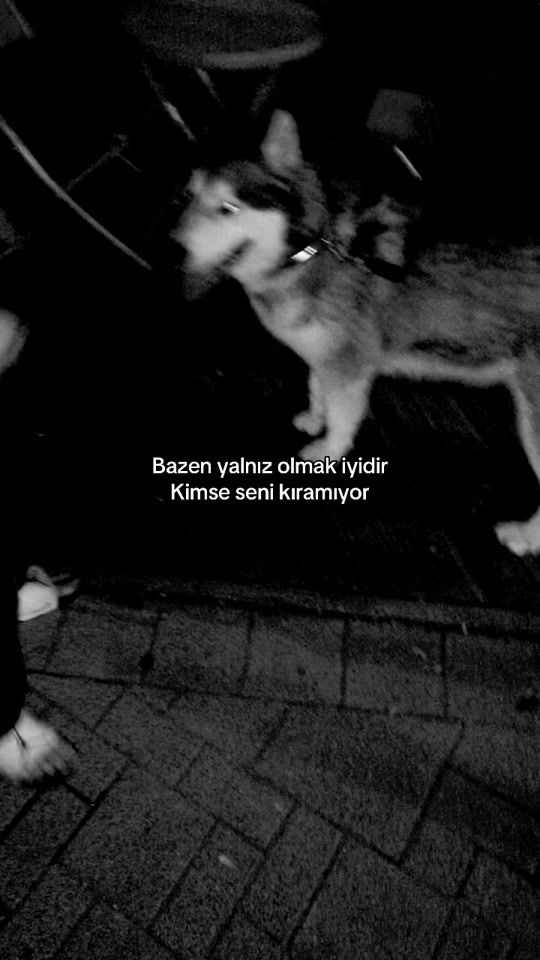 TikTok video thumbnail by sultan.66_