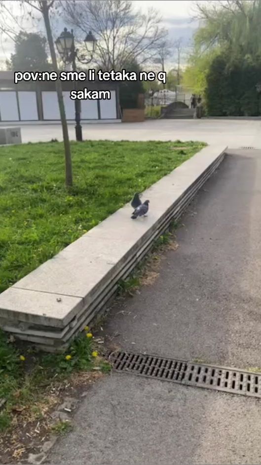 TikTok video thumbnail by fileto69