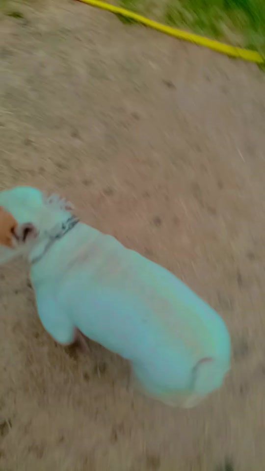 TikTok video thumbnail by balogh.mt8