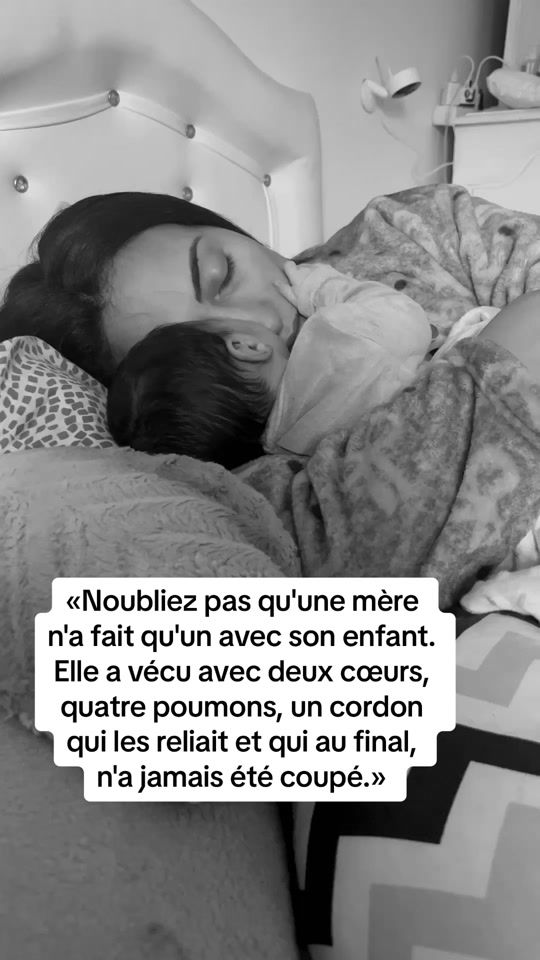 TikTok video thumbnail by farashaomr