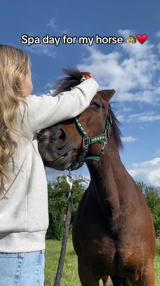 TikTok video thumbnail by alifewithpincer