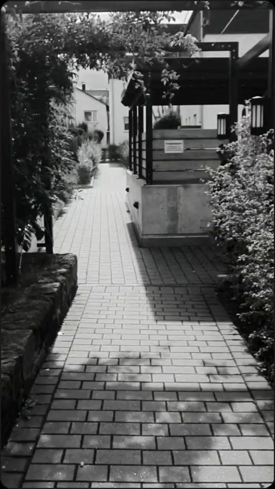 TikTok video thumbnail by best_music_balkan