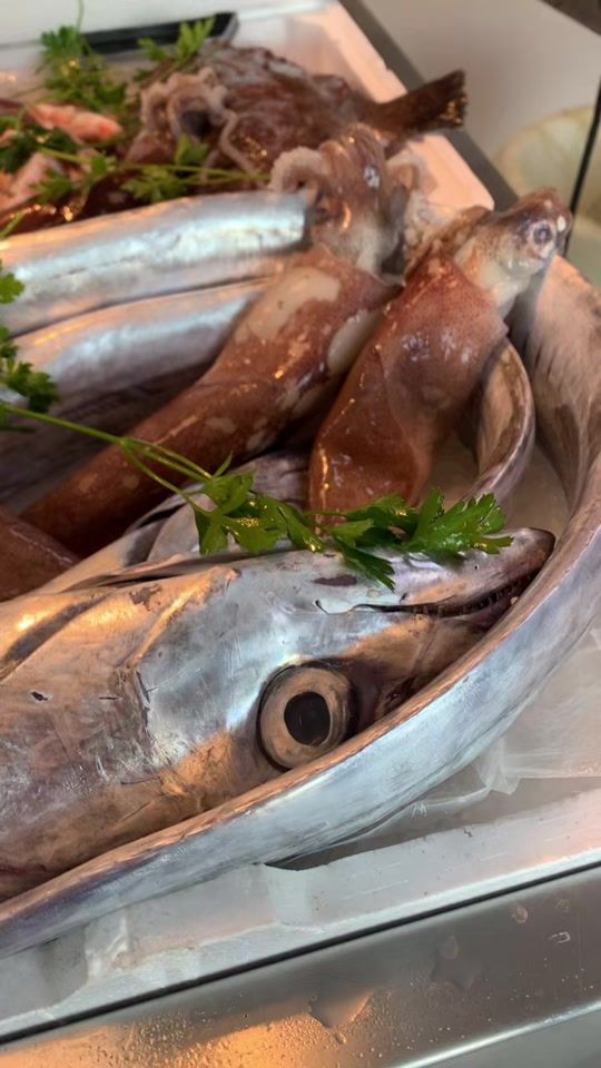 TikTok video thumbnail by ipescivendolidibalatelle