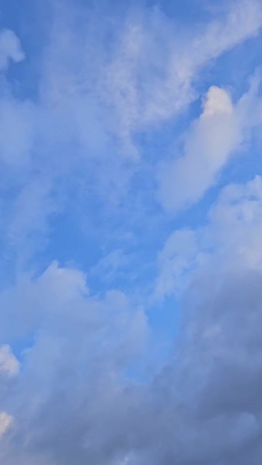 TikTok video thumbnail by ge0rg1e7