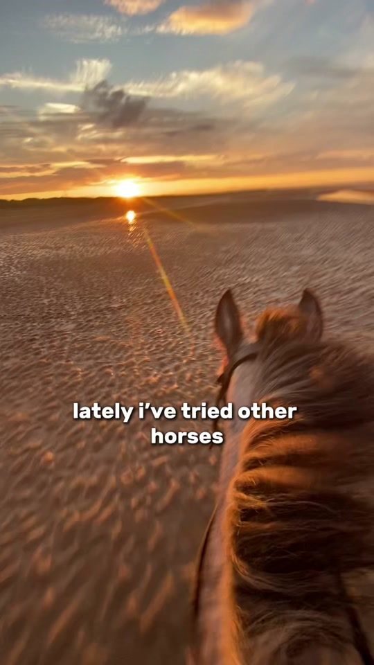 TikTok video thumbnail by ponymeyhem