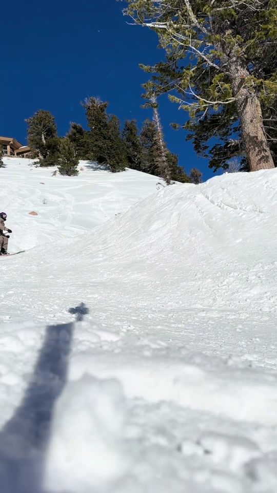 TikTok video thumbnail by rossignol