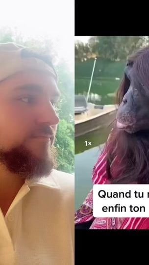 TikTok video thumbnail by www.tiktok.comloic