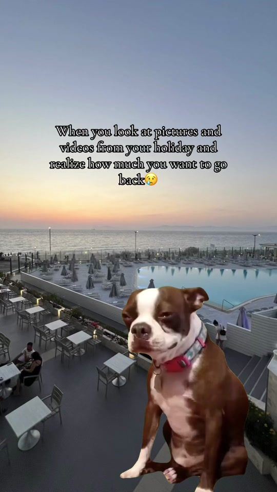 TikTok video thumbnail by laurahirst95