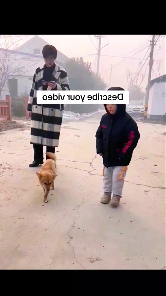 TikTok video thumbnail by dogcute_01