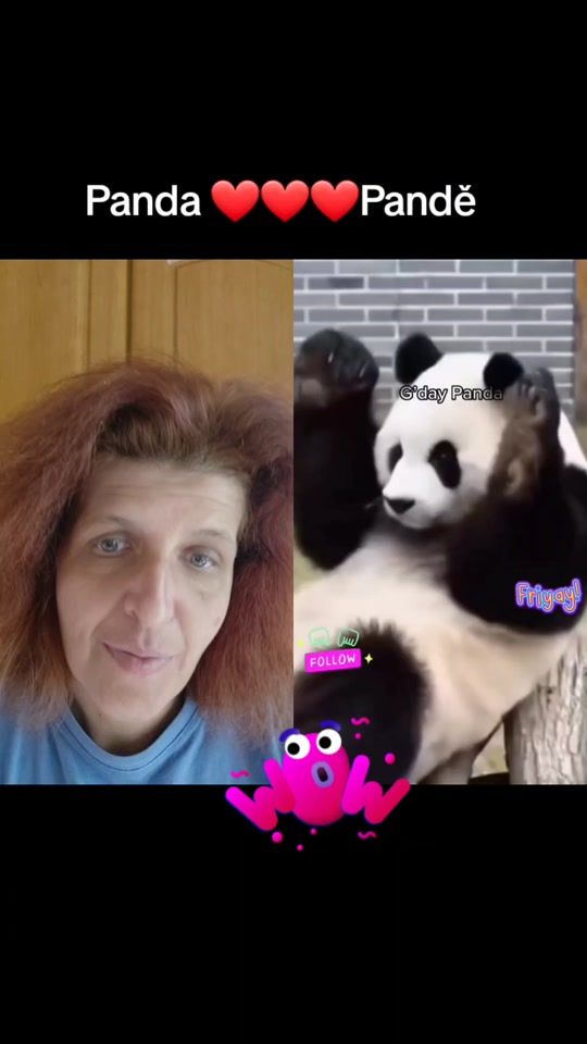 TikTok video thumbnail by annadugas836