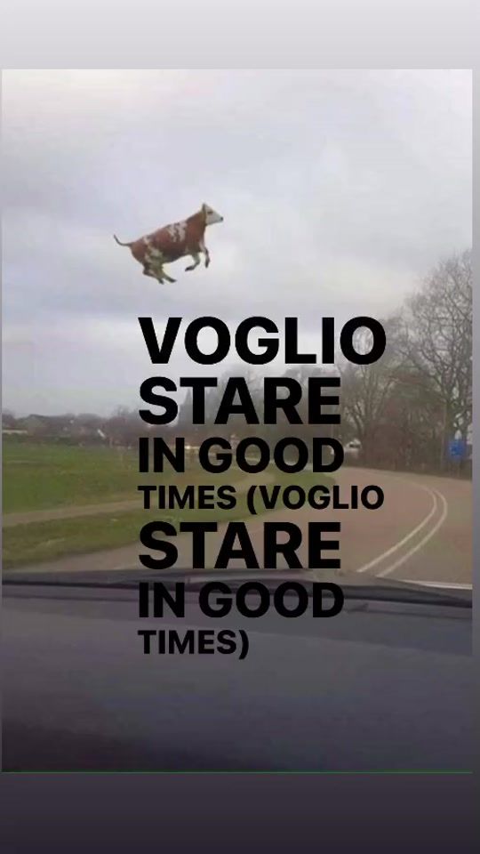 TikTok video thumbnail by justlaaugh