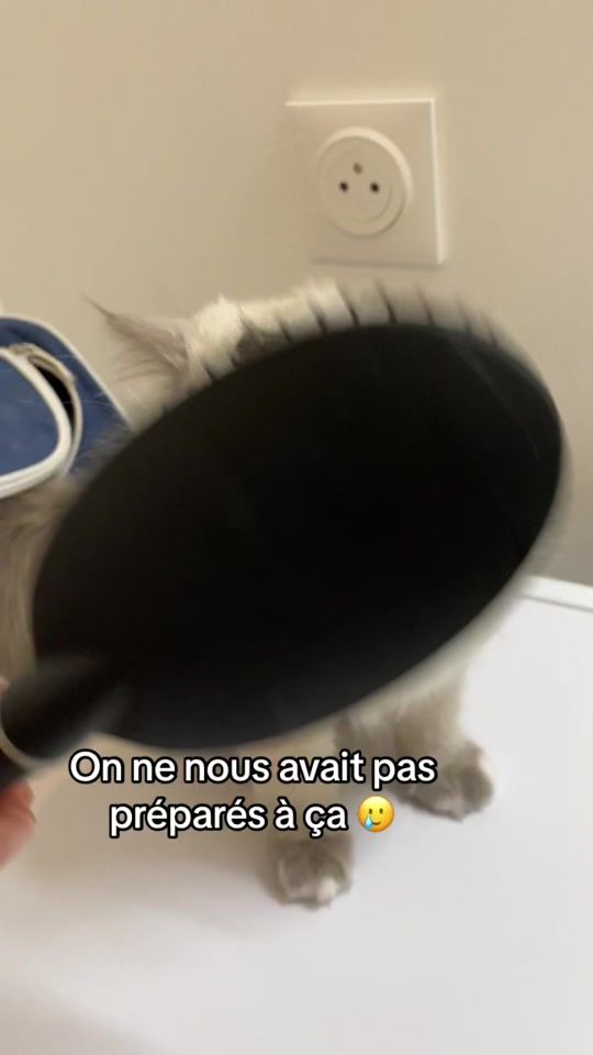 TikTok video thumbnail by tendersthebirman