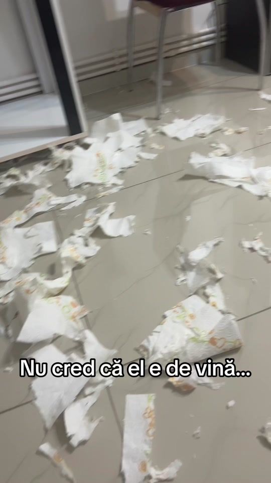 TikTok video thumbnail by stefaniaseitan