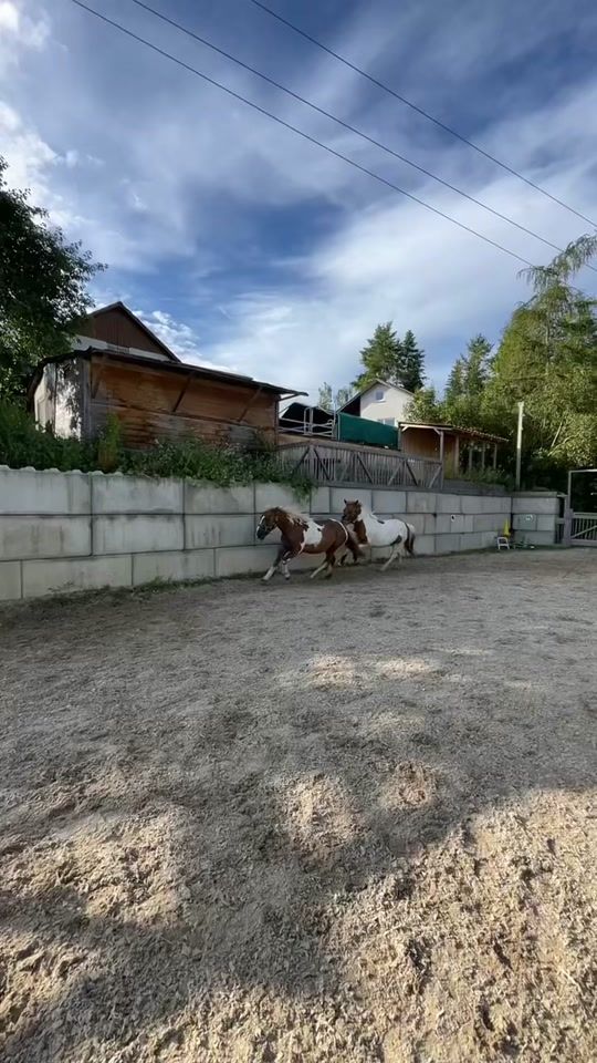 TikTok video thumbnail by emii0z