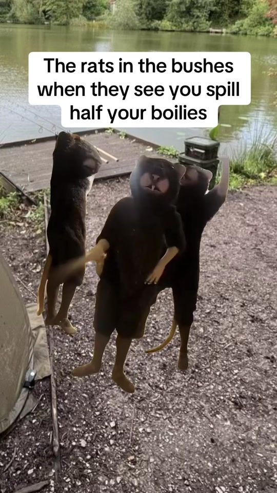 TikTok video thumbnail by mikesquestforfish