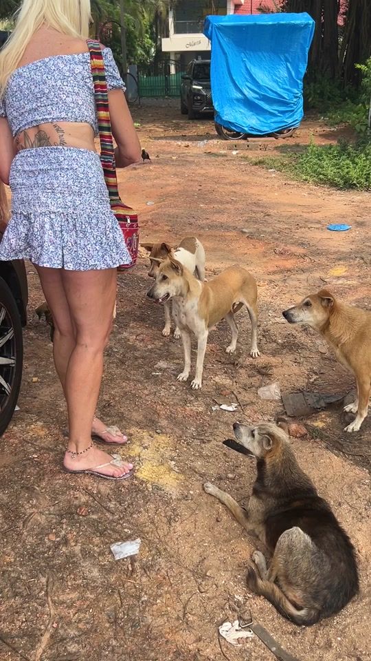 TikTok video thumbnail by goona486