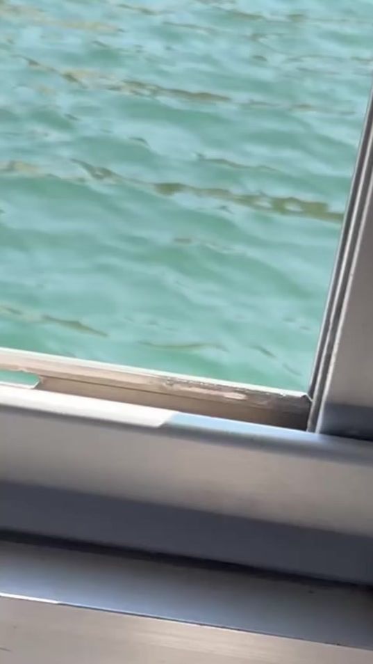TikTok video thumbnail by _lorenzoo_3