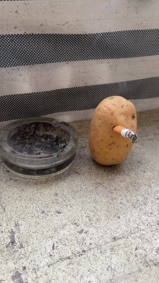 TikTok video thumbnail by potatoface10
